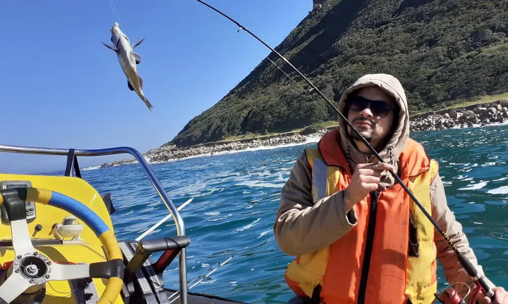 Cape Snoek fish caught during a close-to-shore fishing trip in Cape Town